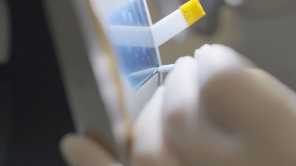 Assemblages optroniques complexes et de haute précision